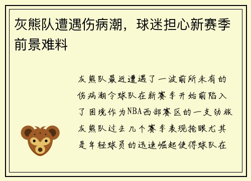 灰熊队遭遇伤病潮，球迷担心新赛季前景难料